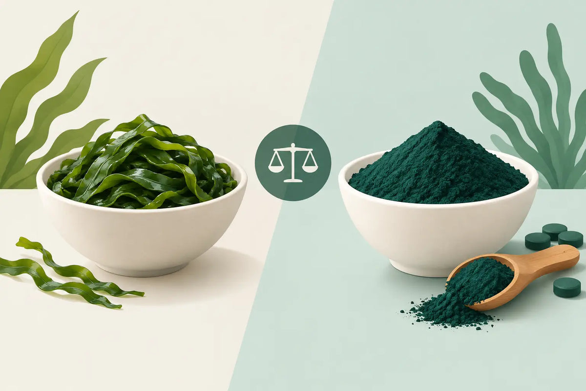 Sauetang sammenlignet med spirulina i praksis