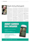 Dagbladet 10. april 2007